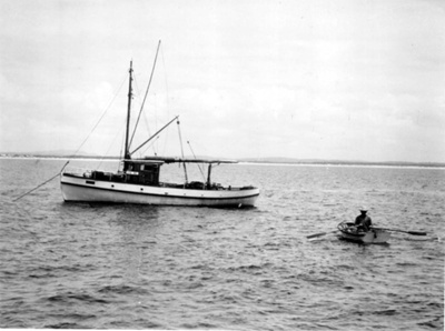 "Viking"; TMA2021.00102.8.1