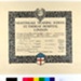 Nightingale Training School Certificate; Nightingale Training School; 15/09/1939; 1104