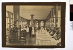 Florence Ward, St. Thomas' Hospital; 0053