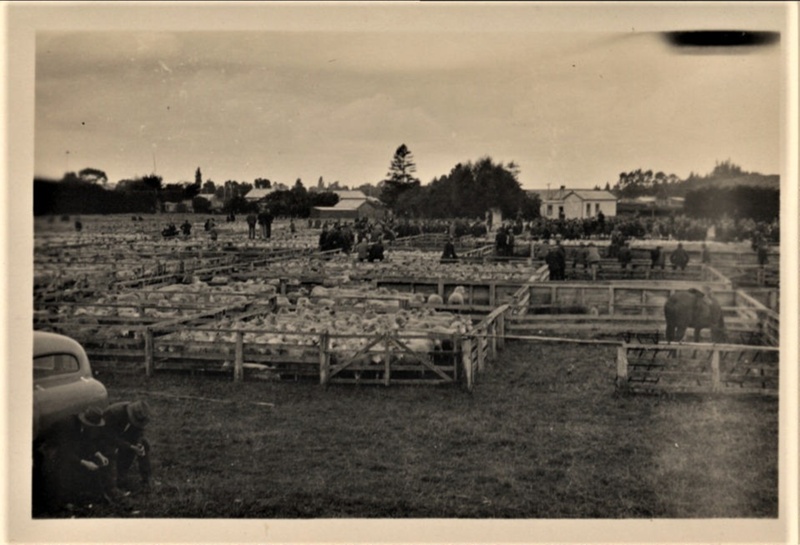 Ōtautau & Districts, Business History - the Ōtautau Saleyards Company