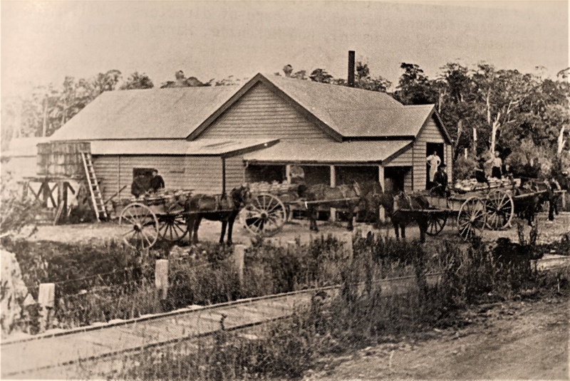 Tūātapere history - business & industry: Tūātapere Dairy Factory, 1911-1967