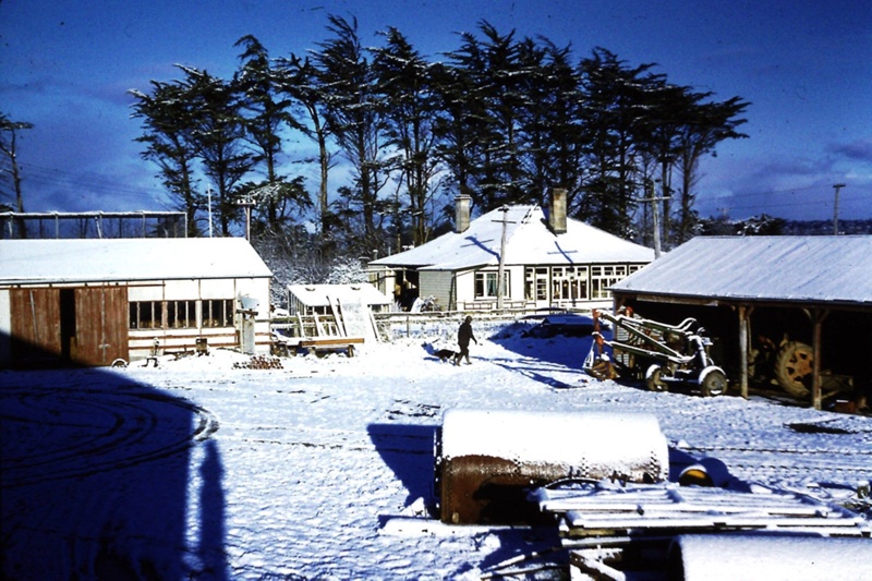 Papatotara Early Farming Families - Erskine's of Westwood Farm, big snow dump of 1962
