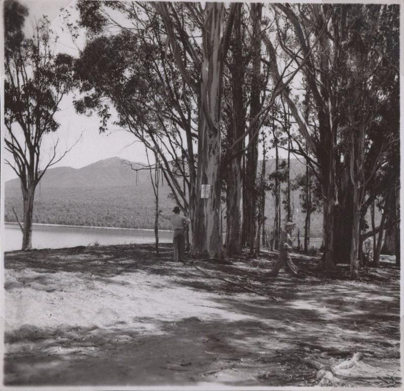 Te Anau & District Heritage - Views of Lake Te Anau from the 1950's