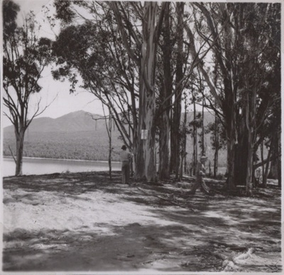 Te Anau & District Heritage - Views of Lake Te Anau from the 1950's image item