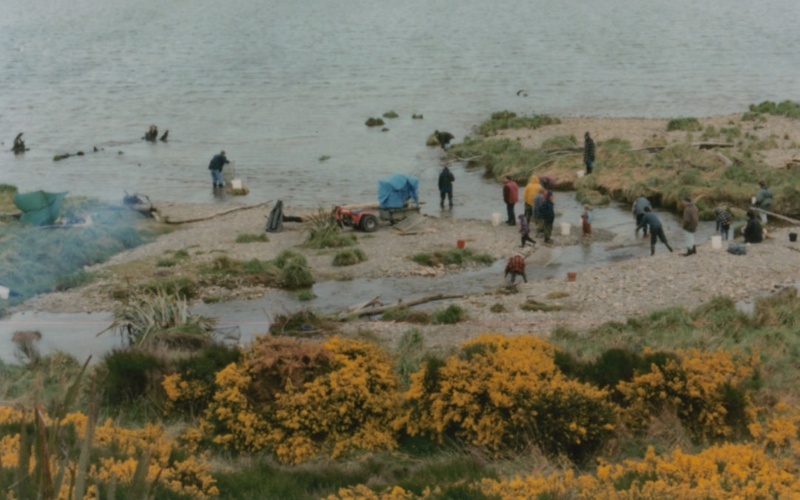 Waiau River - photos of Whitebaiting and the river mouth in decades past