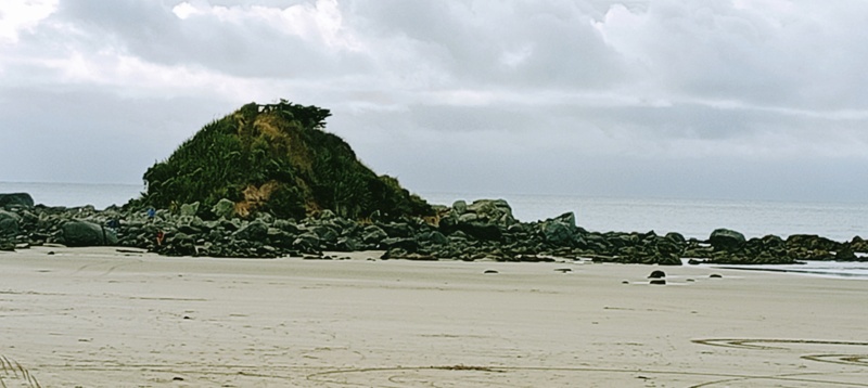 Monkey Island - a history, by Anne McCracken