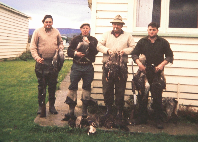 Waiau District history: Hunting, Shooting & Fishing - Duck Culling in days past