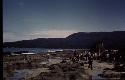 Bluecliffs Beach History - Toheroa gathering in the past image item