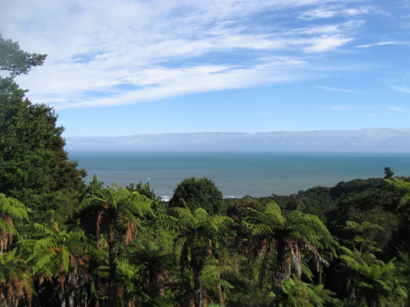 Central & Western Murihiku Southland Archive