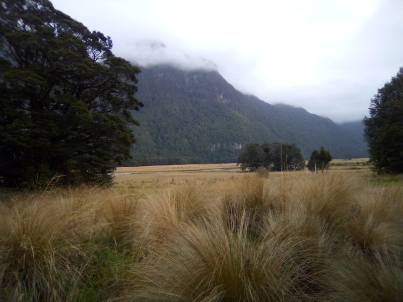 Central & Western Murihiku Southland Archive