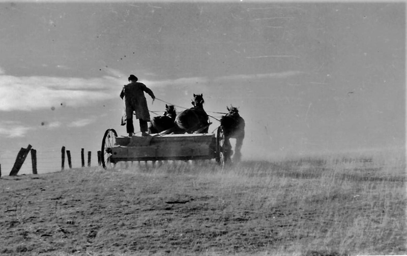 Central & Western Murihiku Southland Archive