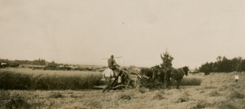 Central & Western Murihiku Southland Archive