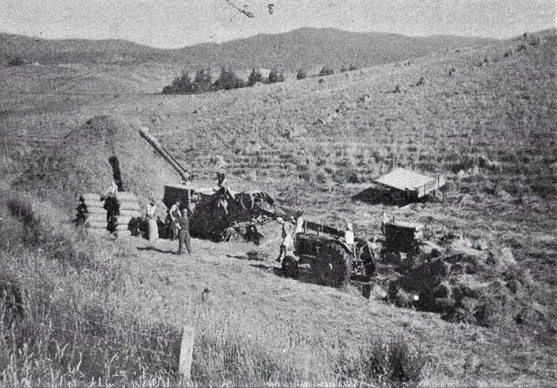 Central & Western Murihiku Southland Archive