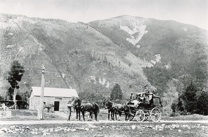 NEWMANs horse changing stables at Grassy Flat; KWC-I-2464 | eHive