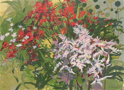 Astilbe; Batchelor, Bob; ABDHA2007.082 Astilbe; Batchelor, Bob; ABDHA2007.082
