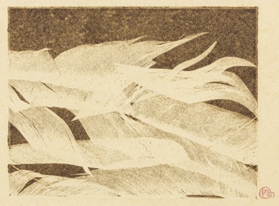 Pat Mear, Light as a Landscape; Pat Mear; LDBGC50