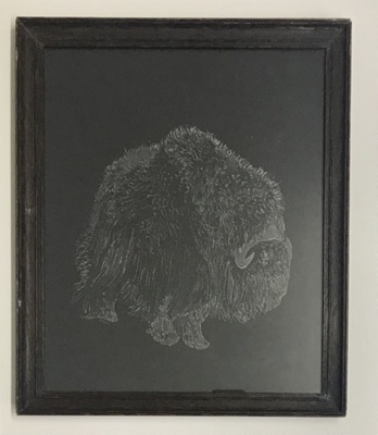 Pat Mear, Musk Ox; Pat Mear; LDBGC24