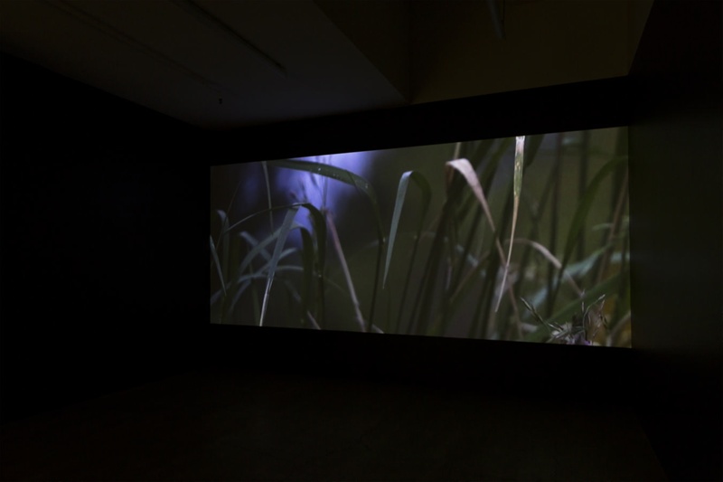 Enjoy Contemporary Art Space