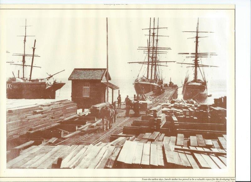 Three sailing ships loading timber; Unknown; Early 1900s; FODV134 | eHive