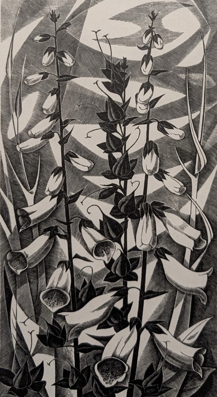 Foxgloves; Poole, Monica (1921-2003); 1975; BIKGM.9312