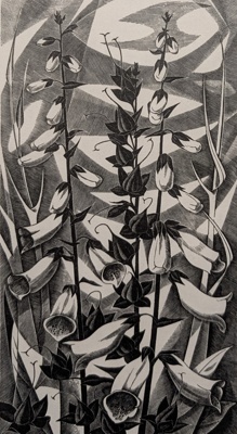 Foxgloves; Poole, Monica (1921-2003); 1975; BIKGM.9312