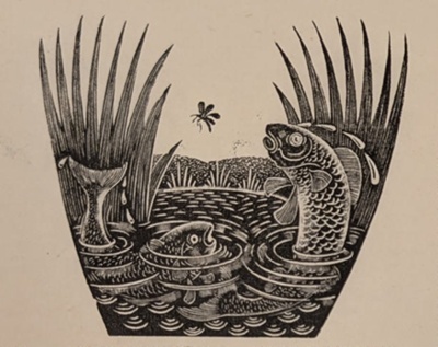 Fish and Pond; Rawlinson, William Thomas (1912-1993); WR.68