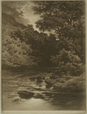 finnie 8028 river and trees