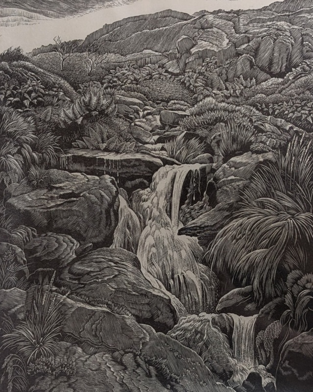Mountain Stream, Nant Ffrancon, N. Wales; Rawlinson, William Thomas (1912-1993); 1976; WR.8