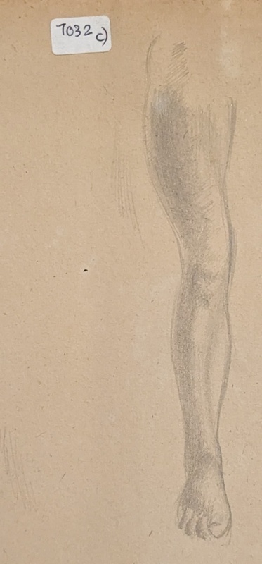 Sketch of Human Right Leg; Richards, Albert; 1935-1939; BIKGM.7032.3