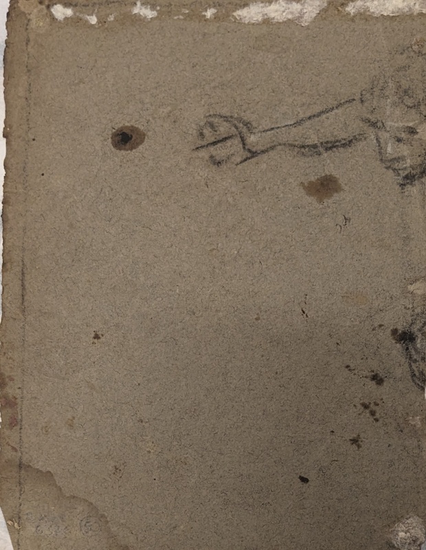 Part Sketch of a Head and Arm ; BIKGM.6376