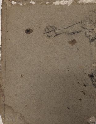 Part Sketch of a Head and Arm ; BIKGM.6376