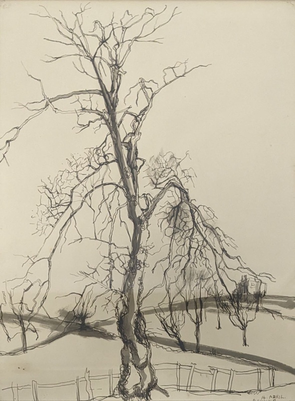 Winter Tree; Richards, Albert; 1938; BIKGM.8341