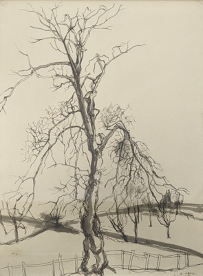 Winter Tree; Richards, Albert; 1938; BIKGM.8341