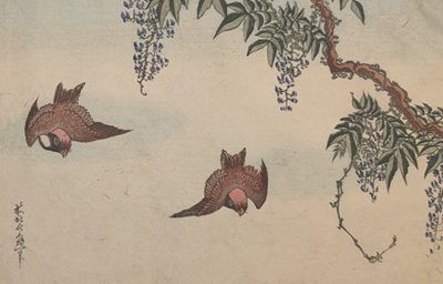 Sparrows & Wisteria ; Hokusai, Katsushika; BIKGM.827