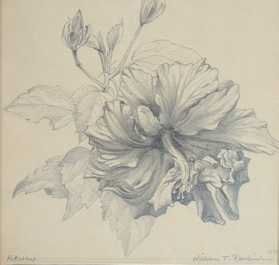 Hibiscus; Rawlinson, William Thomas (1912-1993); 1972; WR.52