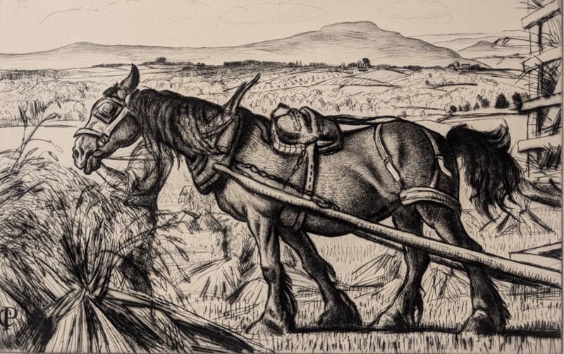 Carting Corn; Knight, Laura (1877-1970); BIKGM.9170