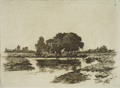 finnie 2351 river bend trees
