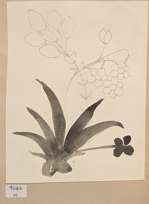 Floral Design; Richards, Albert; 1935-1939; BIKGM.7043.2