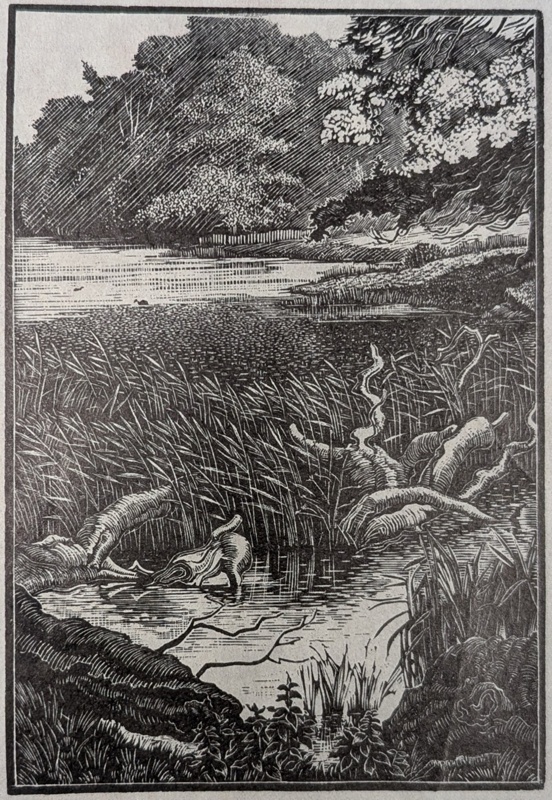 Pond and Trees; Rawlinson, William Thomas (1912-1993); WR.75