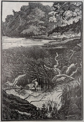 Pond and Trees; Rawlinson, William Thomas (1912-1993); WR.75