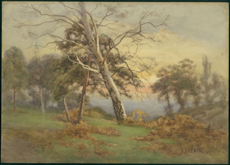 Landscape; Veaco, John G; BIKGM.162p