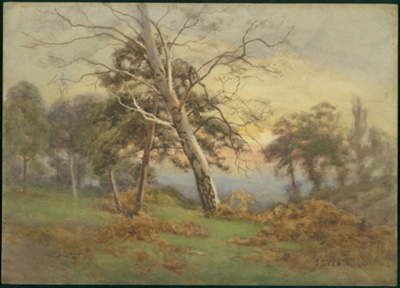 Landscape; Veaco, John G; BIKGM.162p