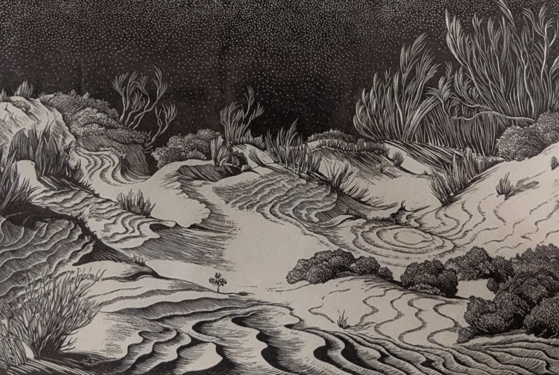 Sand Dunes; Rawlinson, William Thomas (1912-1993); 1972; WR.31