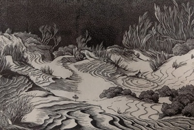 Sand Dunes; Rawlinson, William Thomas (1912-1993); 1972; WR.31