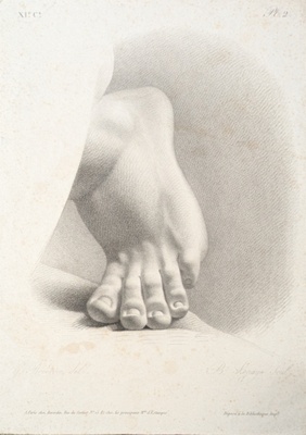Chap. 11. Pl.2. Study of a Foot; Reverdin, François-Gédéon (1772-1828); BIKGM.1815ax