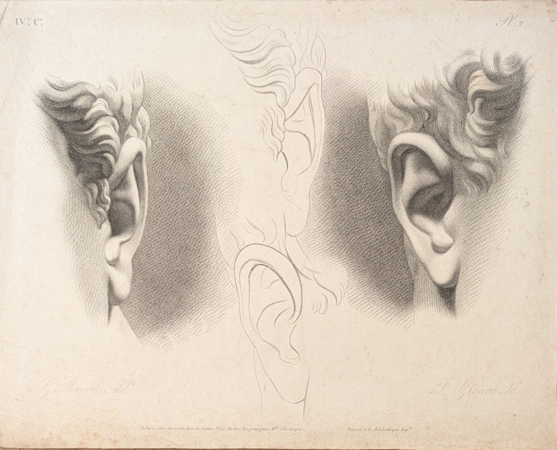 Chap. 4. Pl.2. Studies of Ears; Reverdin, François-Gédéon (1772-1828); BIKGM.1815aj