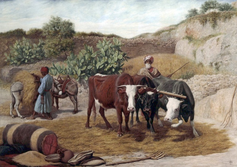Treading Corn; Webb, William J (c.1830-c.1904); c. 1864; BIKGM.123