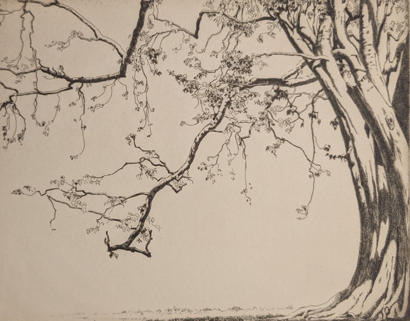 Sacred Tree; Lumsden, Ernest Stephen (1883-1948); 1929; BIKGM.9264