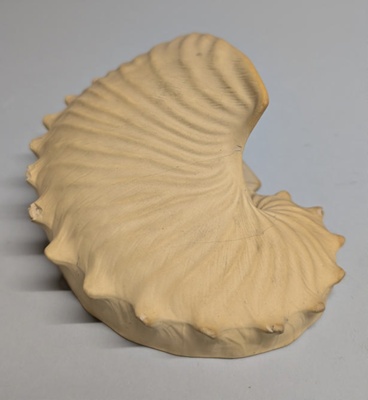 Wall-pocket; Wedgwood (active 1759-present); BIKGM.423
