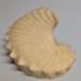 Wall-pocket; Wedgwood (active 1759-present); BIKGM.423